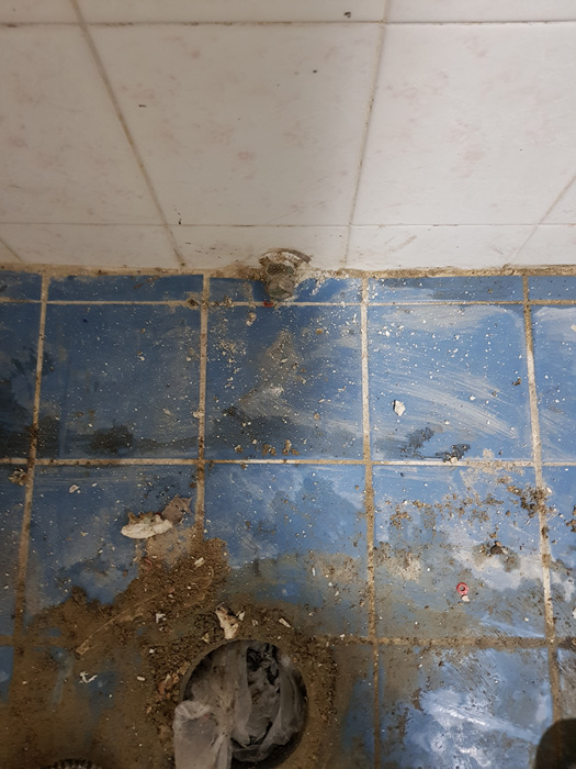 정현욕실 PC 이미지 816180